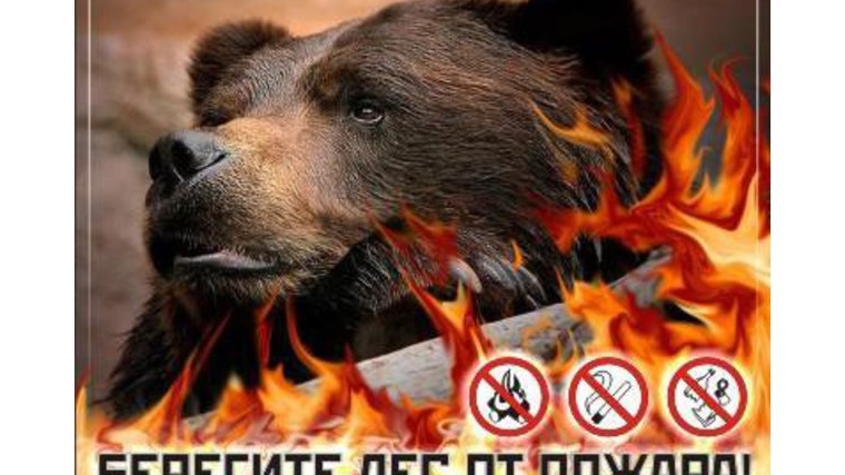 ВНИМАНИЕ! Минприроды Чувашии предупреждает, в лесах республики установился 4 (высокий) класс пожарной опасности!