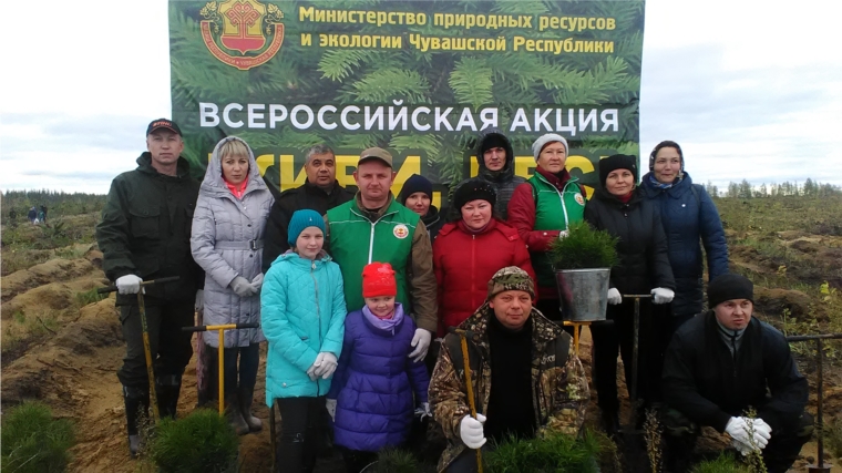Всероссийская акция "Живи лес"