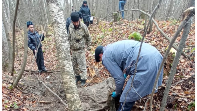 В Ибресинском районе Чувашии полицейские установили подозреваемого в незаконной охоте на лося